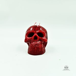 4PC Human Skull For Wicca - Image 2