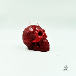 4PC Human Skull For Wicca - Image 4