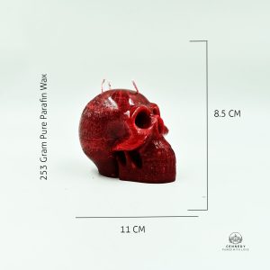 4PC Human Skull For Wicca - Image 5